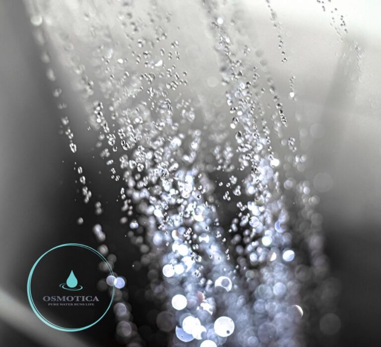 Istoria capului de duș